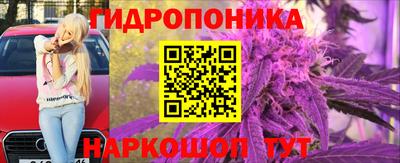 амф Гудермес