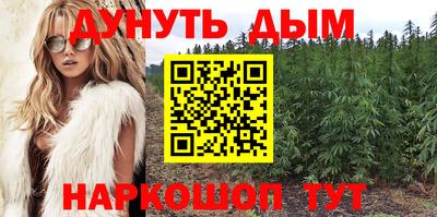 амф Гудермес