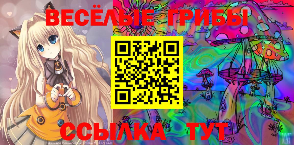 Псилоцибиновые грибы Cubensis  Вход с VPN  даркнет сайт  Архангельск  Галлюциногенные грибы MAGIC MUSHROOMS 